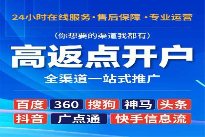 某电商平台的SEM策略与效果展示